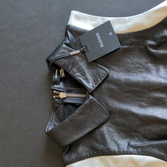 🍁Rudsak Adriana Sleeveless Collared Dress - Picture 2 of 12